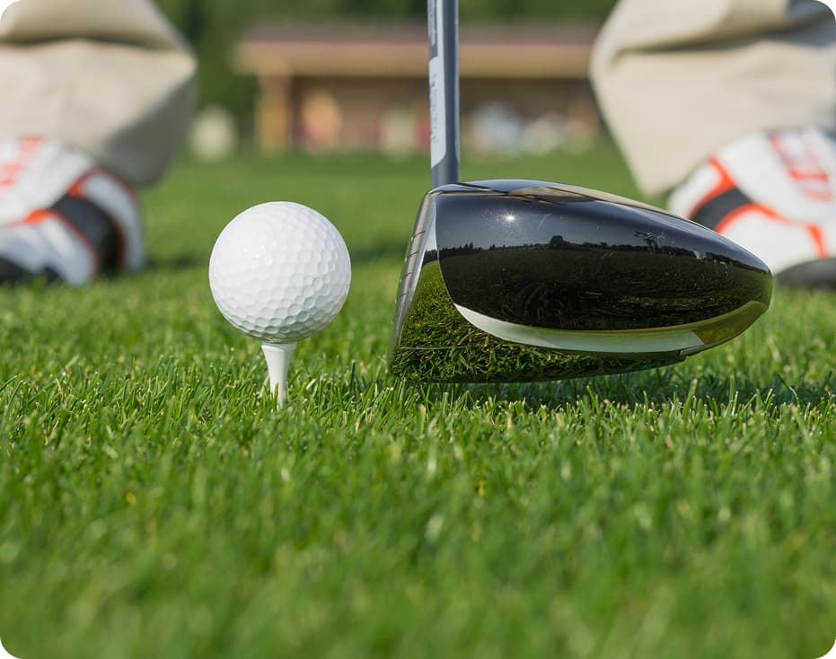 Uni Golf Club detail 4